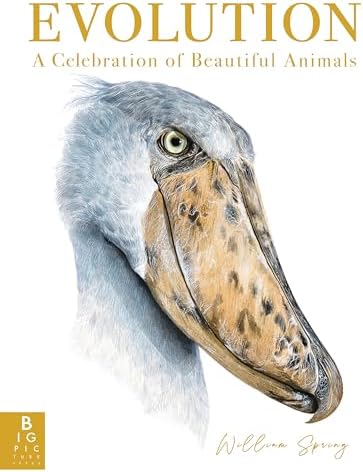 Birds: The Art of Ornithology (Rizzoli Classics): Elphick
